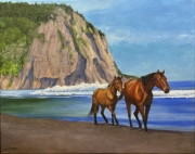 Wild-Horses-of-Waipio-Valley