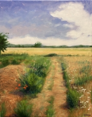 The-Wildflower-Path